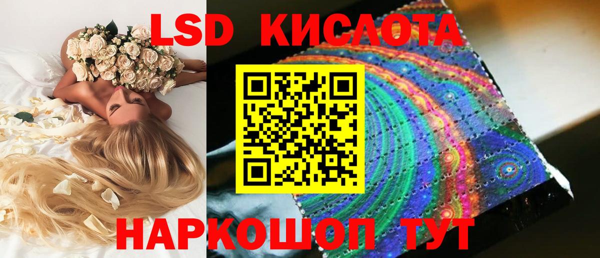 Псилоцибиновые грибы Жуковский