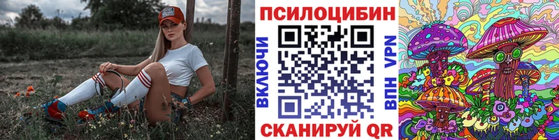 что такое наркотик  Жуковский  Галлюциногенные грибы Magic Shrooms 