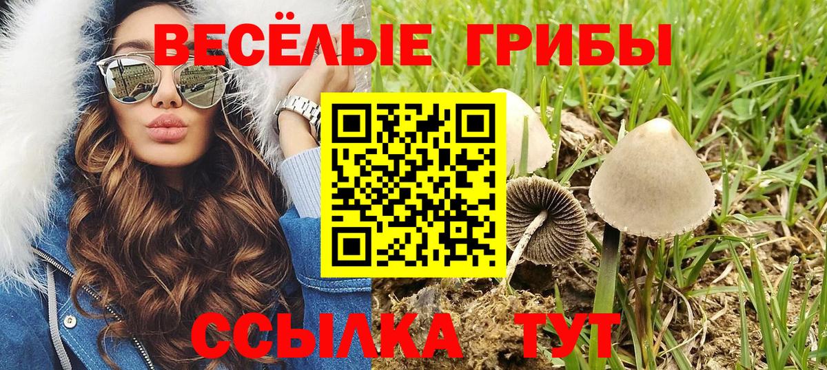 Галлюциногенные грибы мухоморы  Вход с VPN  Галлюциногенные грибы мицелий  Жуковский 